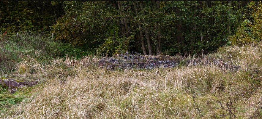 Château Saint-Rémy d'Altenstadt, Wissembourg, France